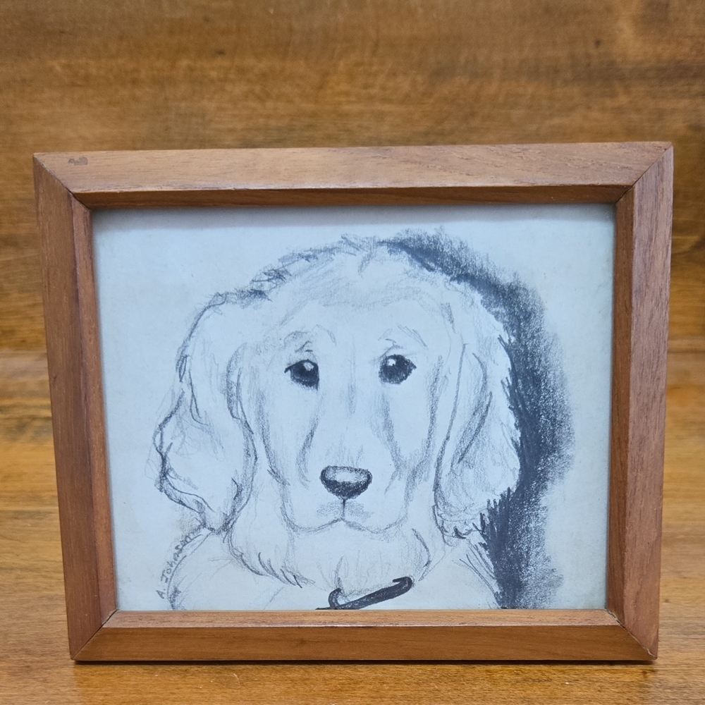 Framed Golden Retriever Pencil Sketch